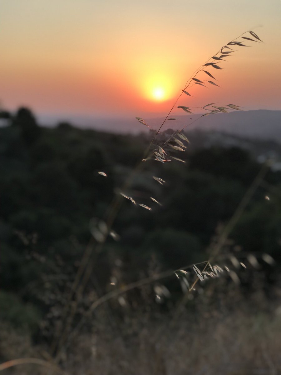 OceanObsessions's tweet image. California Sunsets 🤙🏼🌅