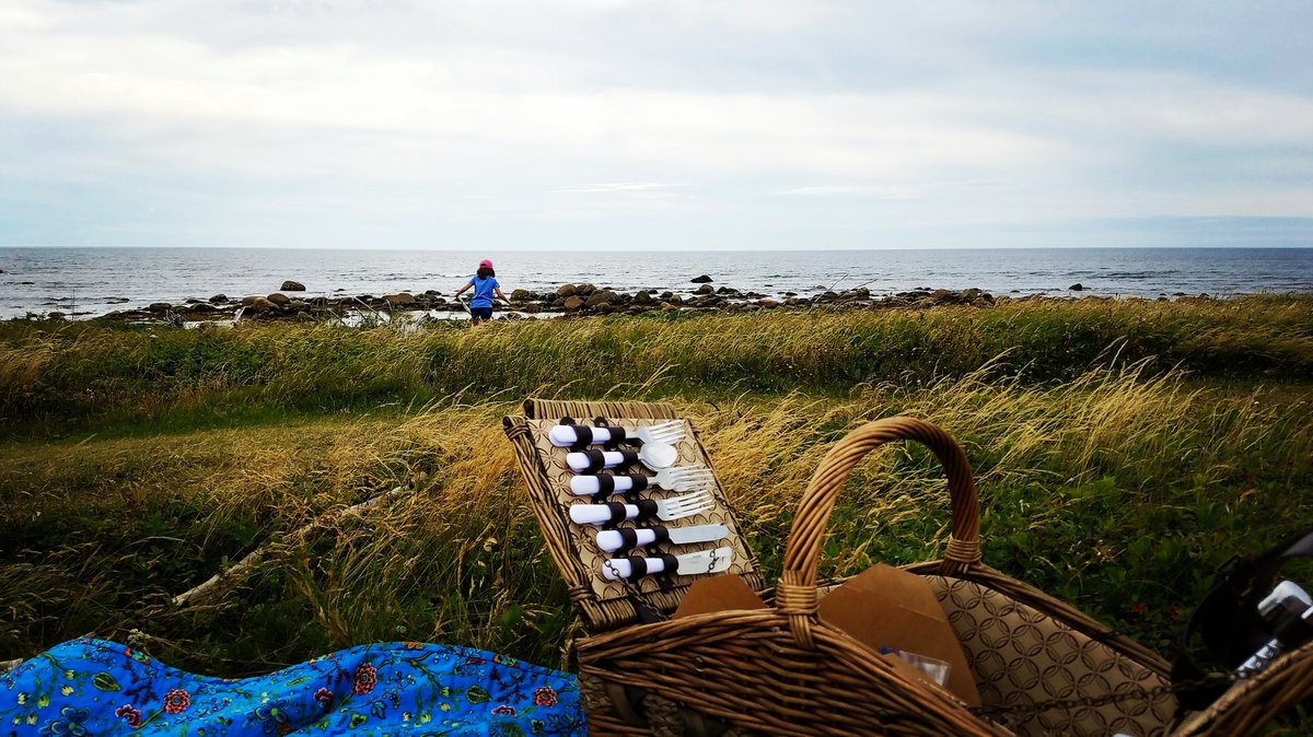 TasteGrosMorne's tweet photo. When you combine our #foodtour with our #hikingtour you have a beautiful mix! #getoutside #coastal #picnic https://t.co/IIVRcznxSs
