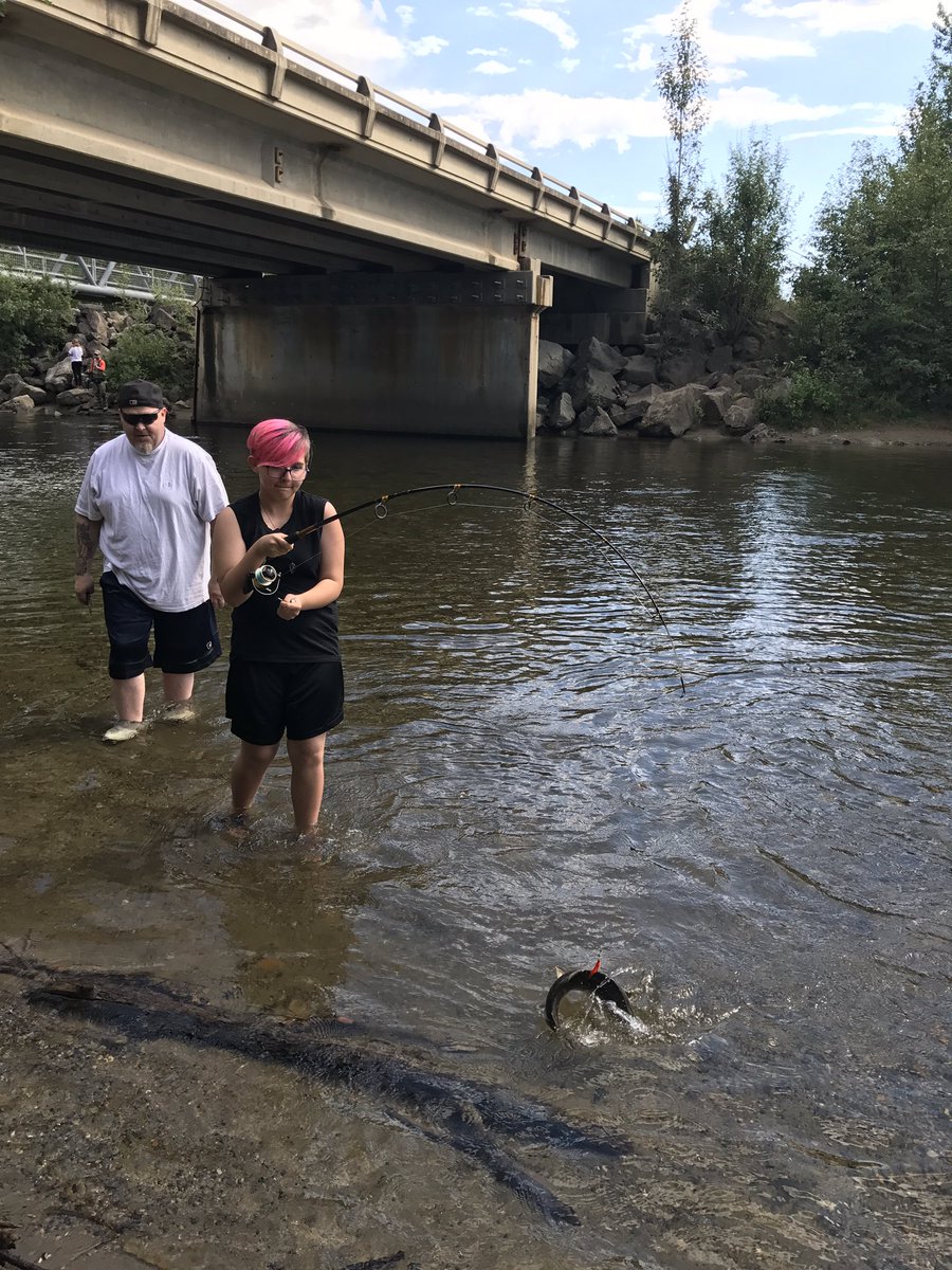 BipolarBiped907's tweet photo. ๐ #AlaskanSummers https://t.co/5Is5VG88Z7