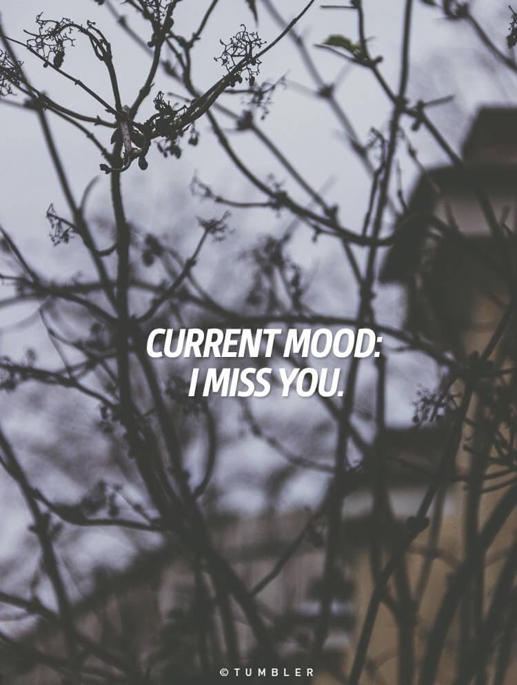 seeksten's tweet image. Hey to you to you to you now hooowoohoo 🚶