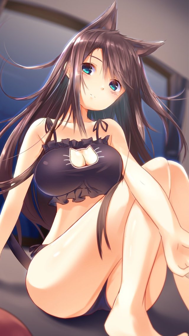 Sexy anime catgirls