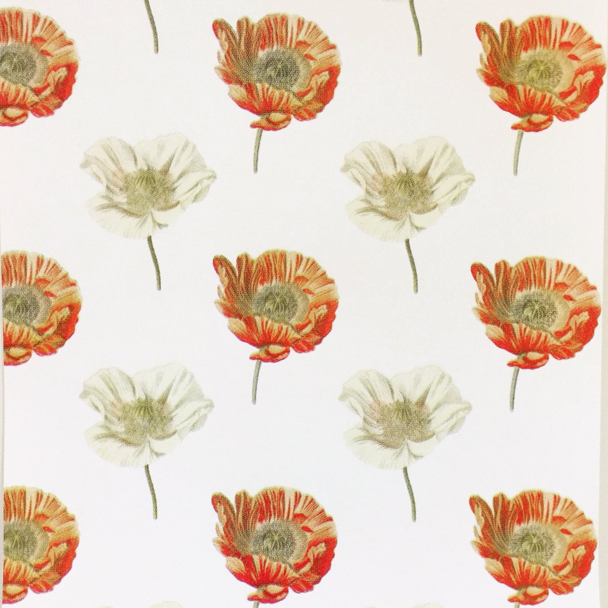 imprinteditor's tweet image. Jason Jegels' work in the student showcase at Collins Place Gallery. Official opening Tuesday 5.30pm. Article at imprint.org.au/posts/