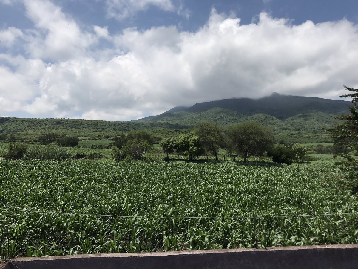 Jennaaee2's tweet image. I miss Mexico SO much 😢 I do not like anything about being back 💔