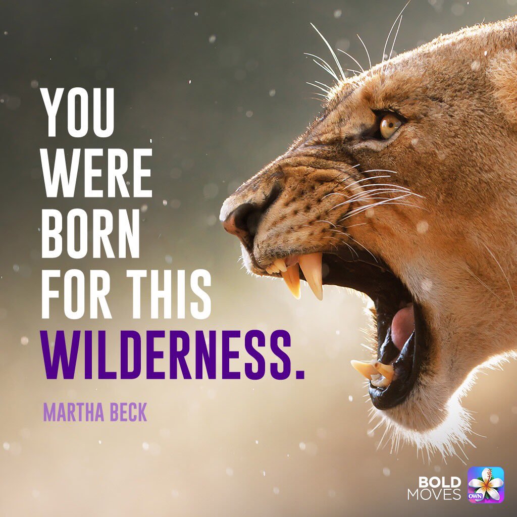 ThePianoLessons's tweet image. You wer born... | #Entrepreneur #Startup #Success #MakeYourOwnLane #defstar5 #mpgvip #Quotes