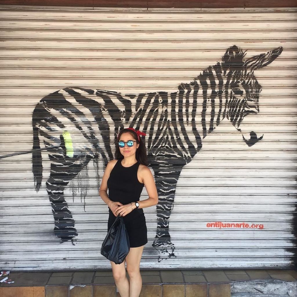 Zigtebra's tweet photo. The Tijuana Zebra and the Zigtebra Zebra. ππΌ #tijuanazebra #zebra #zigtebra #tijuana https://t.co/cXJ79eN3R5 https://t.co/4UXEFGUVJm