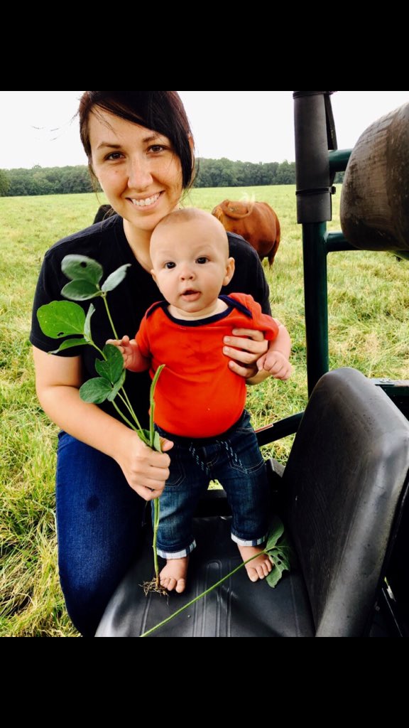 luellasfp's tweet photo. Checking #soybeans and #cows tonight. How can it be #aug w/ this beautiful #weather #farm17 https://t.co/y0npY2E6u5