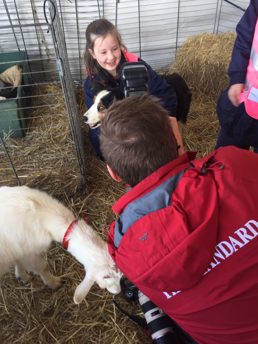Photographer <a href="/m_hancock29/">Morgan Hancock</a> gets up close to the animals at #sheepvention. <a href="/WboolStandard/">The Standard</a>