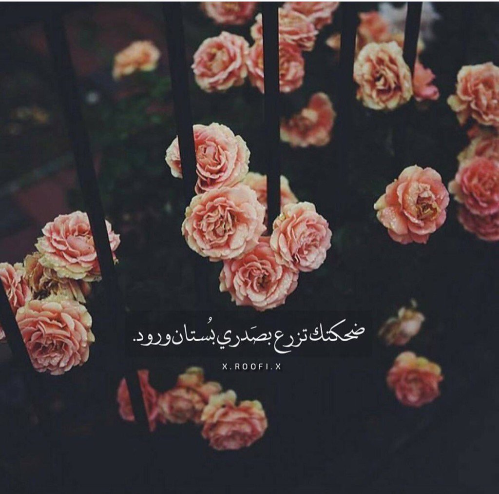 لا أشعر أنني بخير إلا بجانبك لا يُغنيني عنك شيئاً ولا استبدلك بأحد لأنك الجميع.