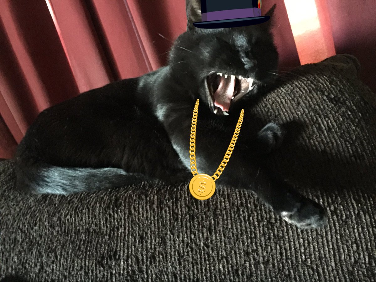 alejansand's tweet photo. Pimping aint easy https://t.co/HI9rjo7Naw