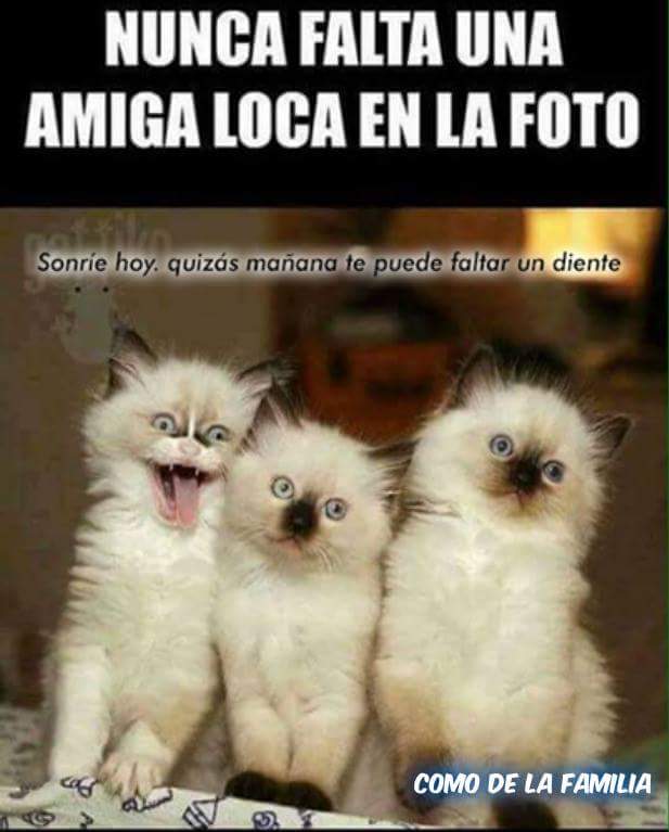 #DomingoDeGanarSeguidores 
#1As423💟
<a href="/Ap42Lita/">litinha.ap🇧🇷🤩</a> <a href="/Shu_la75/">sHuLa</a> <a href="/montmaty_/">Maty</a> @Ma77uT <a href="/virgyane/">Luz Mary.</a> <a href="/1pepevi/">Pablo Pérez Villarev</a> <a href="/ranasilvia63/">Luna OM</a> <a href="/LunaLiuLlat/">Luuh Liu</a> @chichovip7 <a href="/RT4GT/">#seguimeytesigo</a>