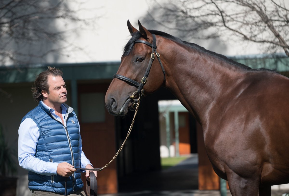 CoolmoreAus's tweet photo. American Pharoah has settled in well at Coolmore Australia and looks great! Pictured with Tom Magnier #Pharoahdownunder #Homeofchampions https://t.co/u6qPfAUxVe
