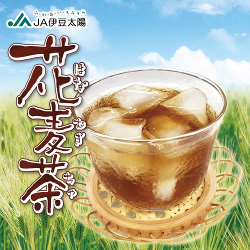 おいしいしずおか 花麦茶ペットボトル 花麦茶は六条大麦の裸麦を丁寧に焙煎し 芯まで充分に炒り上げた麦を砕き 麦茶に仕上げました 苦みが抑えられまろやかでやさしい味わいです T Co I9q9ejztgn ｊａ伊豆太陽農産加工所 花麦茶 静岡県の