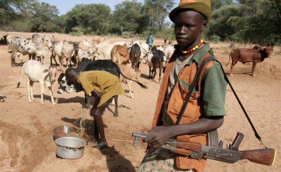 Miyetti Allah Cattle Breeders Association of Nigeria (MACBAN) says it will challenge the anti-grazing laws introduced by some state govts in court.