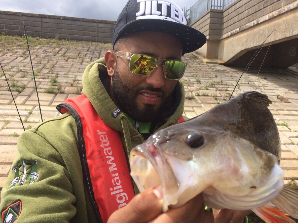 bank_rat's tweet photo. @pitsfordfishery 44cm perch catch of day https://t.co/0D7hrZyIFW