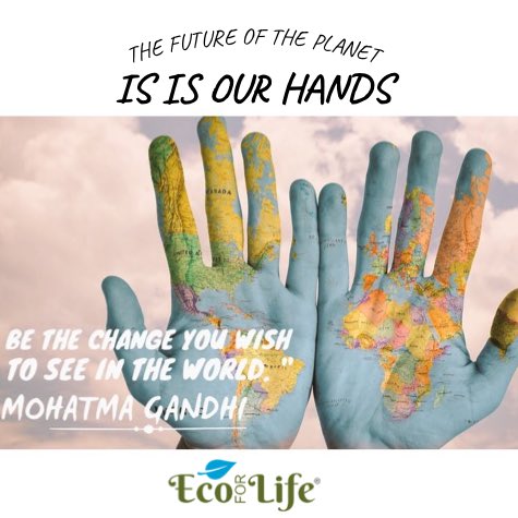 It's in your hands to make Sustainable choices say No to single use #plastic #plasticpollution #plasticwaste choose #plantbased #ecoforlife