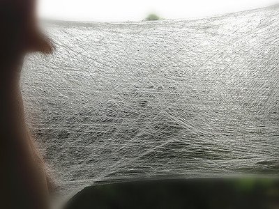 MaskPaper's tweet image. Facial mask in China, Japan, South Korea, Hong Kong and other regions are very popular.
The silk mask paper👇