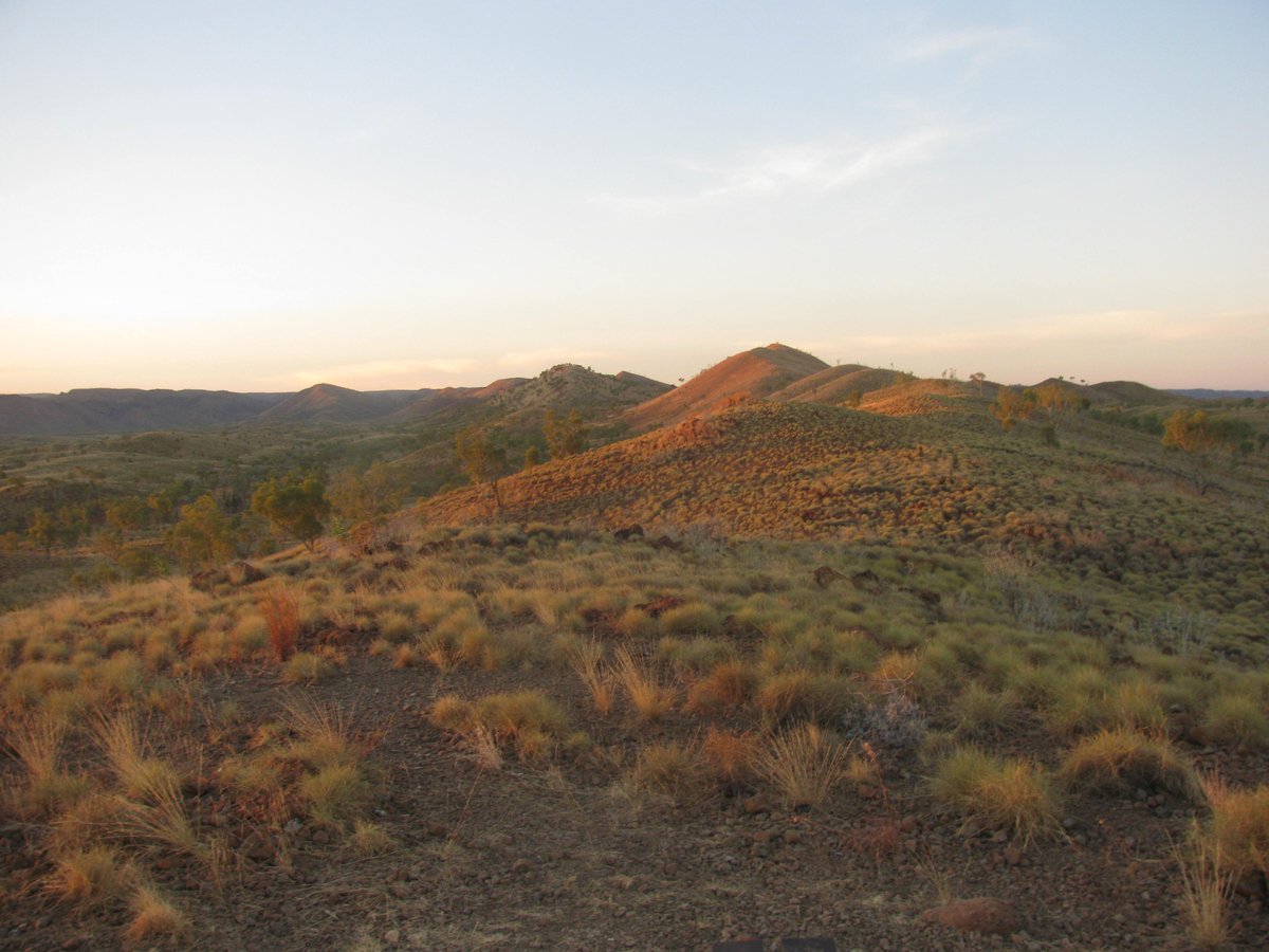 Annie Loggins tweet media