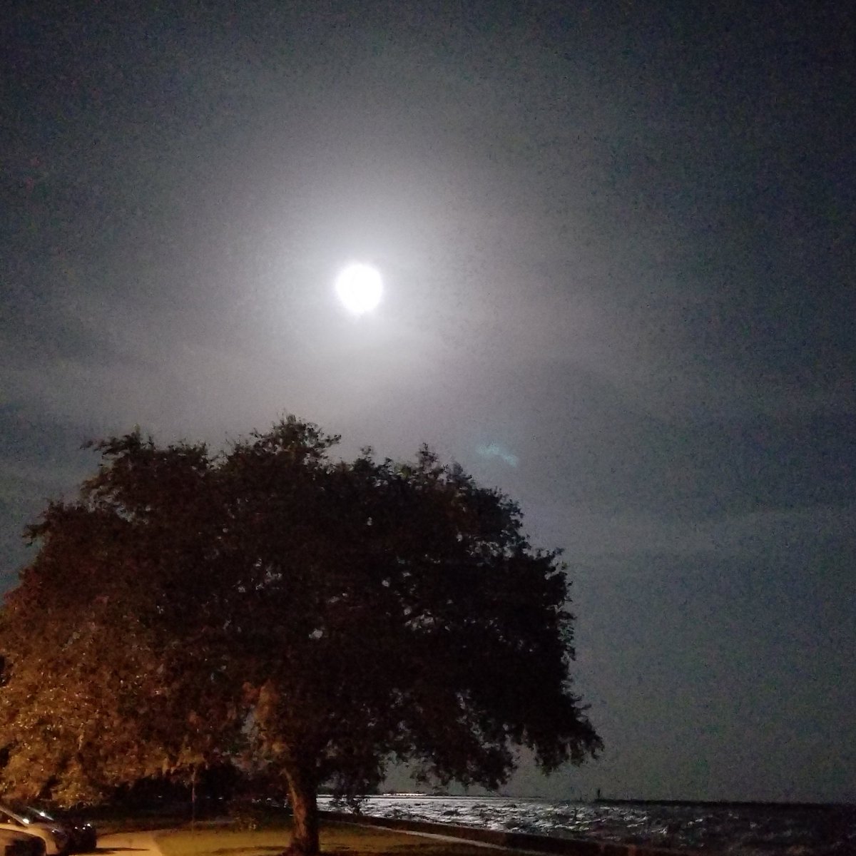 SisterSarah67's tweet photo. Moon walking https://t.co/e7zVUDnojs