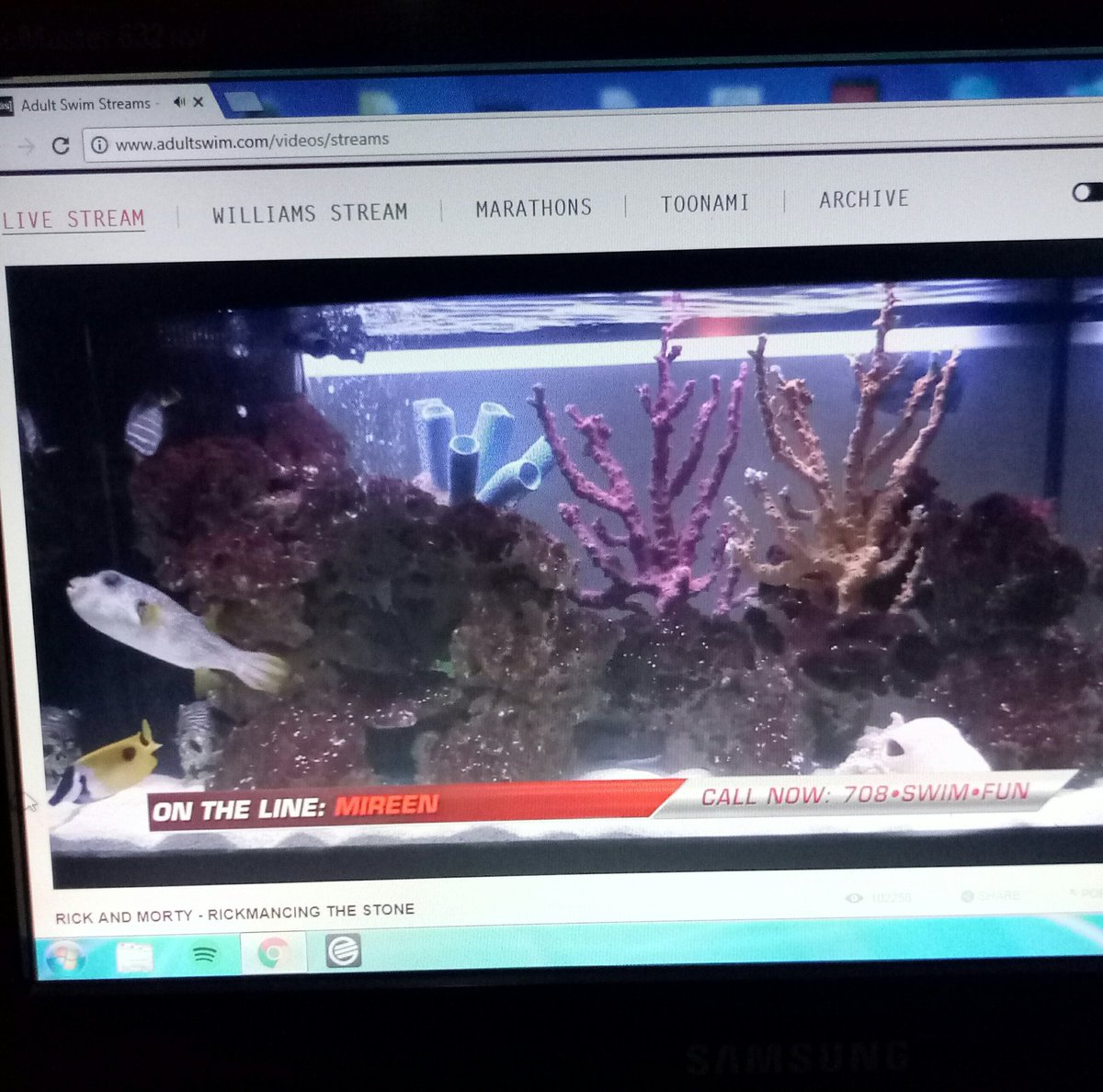 maticordaro_'s tweet photo. @adultswim adjunto evidencia https://t.co/hC8s1GWH0h