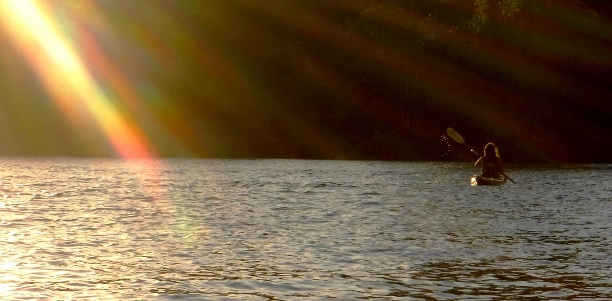 NicKayakOAM's tweet photo. Paddle Day #76 on a sunset paddle on Lake Natoma with Debbie. #paddleforever #kayaking #nrsweb https://t.co/7G3UAmHA7a