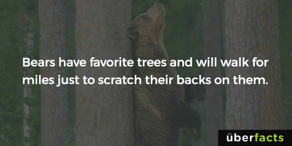 UberFacts's tweet photo. https://t.co/ABuUPusW1h https://t.co/nSbQTgzuiA