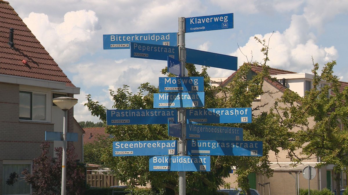 Omroep Flevoland tweet media