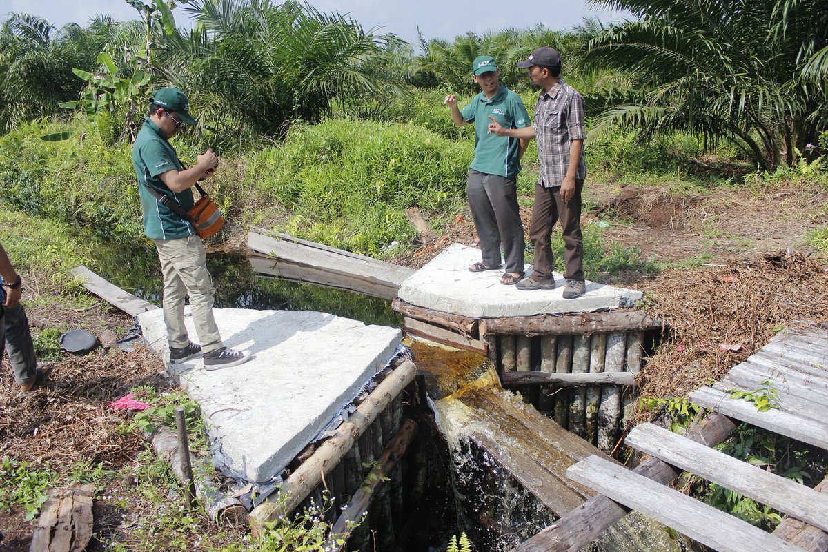 Bersama Perwakilan @ICCTF_ID melakukan Kunjungan pembangunan Sekat Parit dan Demplot Pertanian dilahan Gambut Tanpa Bakar