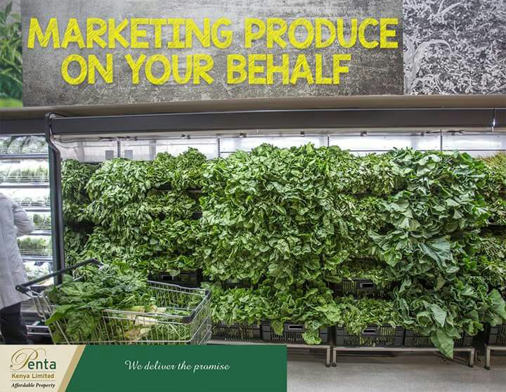 enockmuthusi's tweet photo. We have partnered with local stores to market produce that is harvested. @pentakenyaltd #InvestWithPenta https://t.co/CX6RK4HDo5