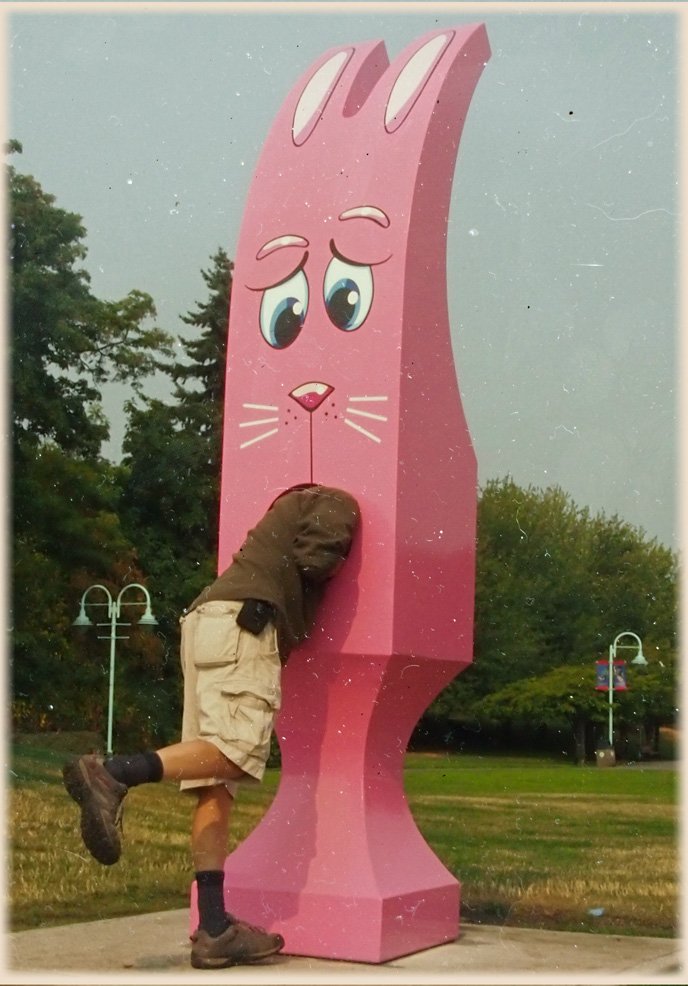 daschstudio's tweet photo. #hungrybunny Sculpture eats visitor from Mission BC. #MaffeoSuttonPark #Nanaimo #pinkbunnysculpture https://t.co/gENsVTi4cT