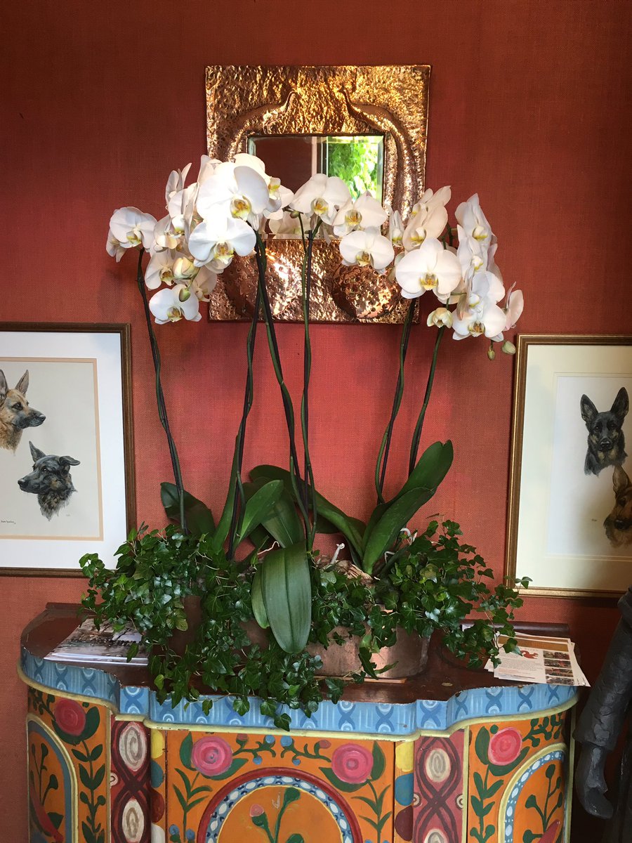SecretGardenabo's tweet photo. #McEwanGallery https://t.co/QQBuVcpfhE