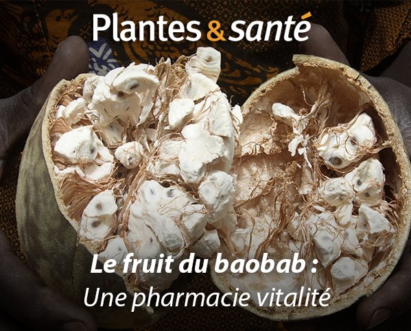 Image de la semaine / Baobab

Vertues medicinales : urlz.fr/5wNJ