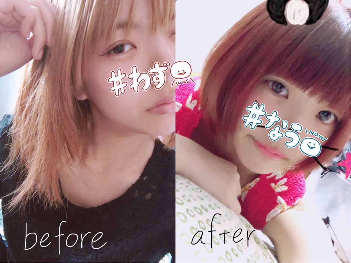 _iwtk's tweet photo. けとこちゃんだよ〜〜髪色変えてバッサリ切りました
生きてますって確認 https://t.co/PmBtlUQ58J