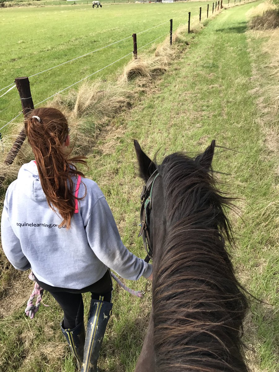 Session 3 of the Summer Programme was inspiring. So many of our young people tackled their fears. Great day Horse Riding!! 🐎