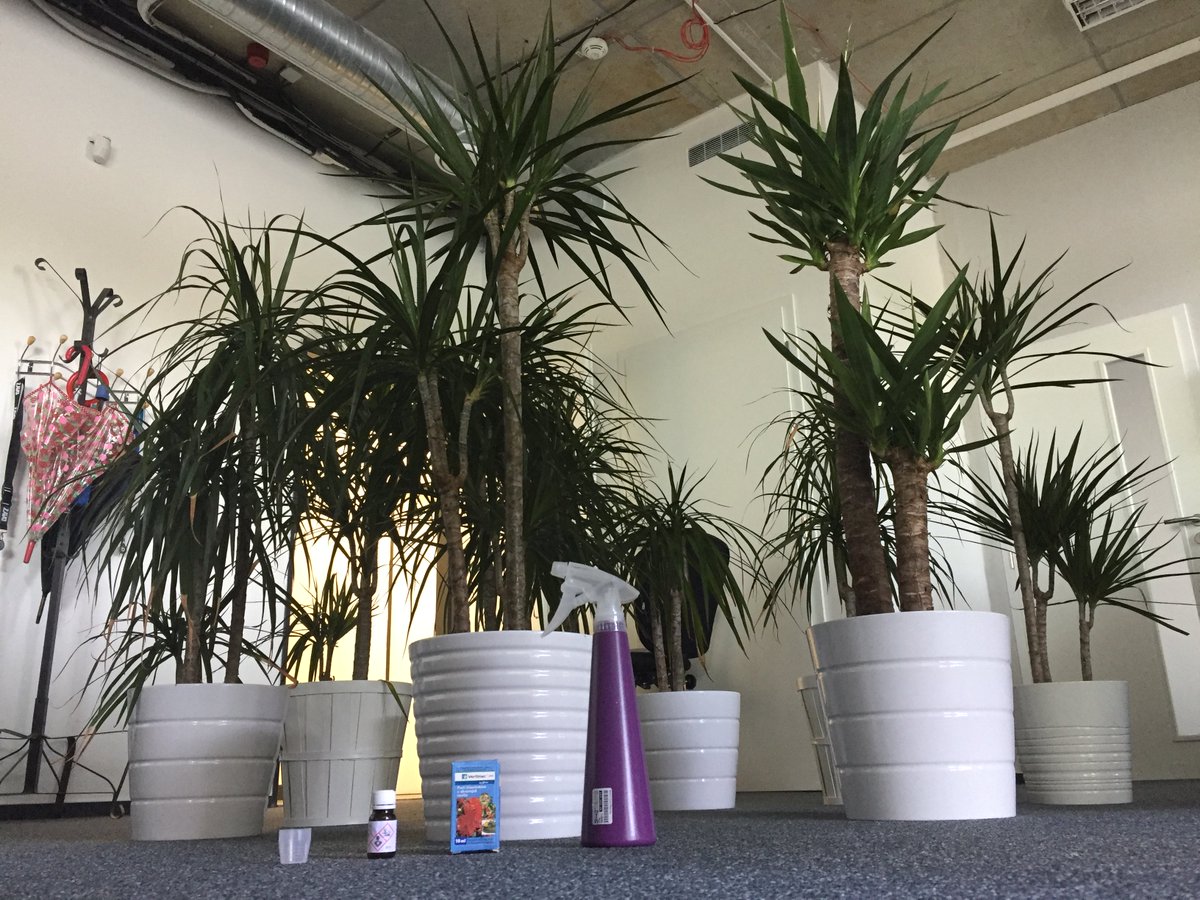 BohemiaPalmTree's tweet image. We´ve got the Debugging Solution from our Operations dpt. Well it is not as much nature friendly as we hoped. It´s called Vertimec 1,8 EC.