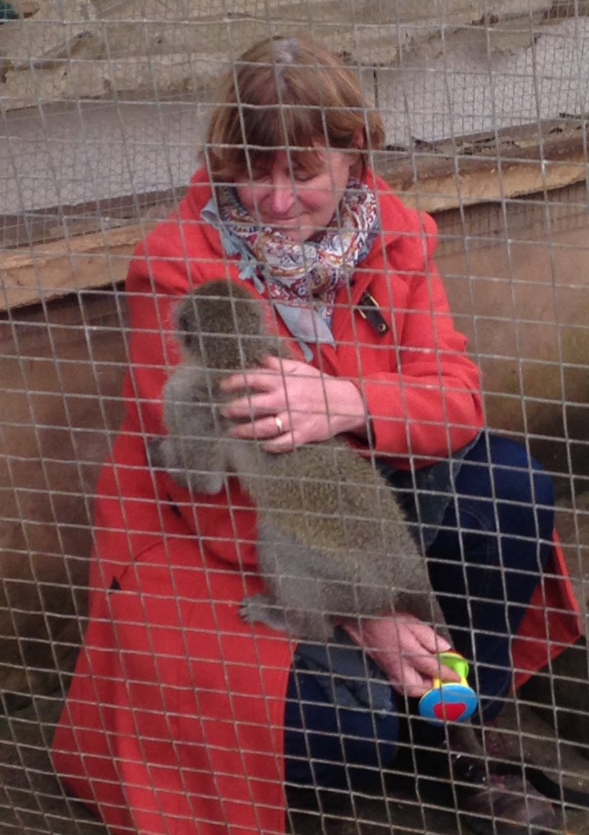 Animal Sanctuary @Butterfly World tweet media