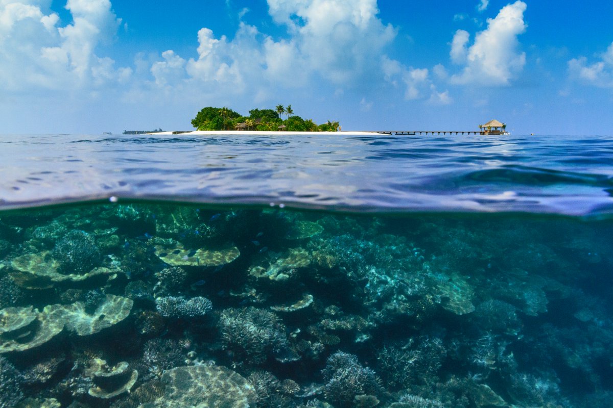 Island вода. Индийский океан Мальдивы. Ари Атолл Мальдивы подводный мир. Остров под водой. Остров в океане.