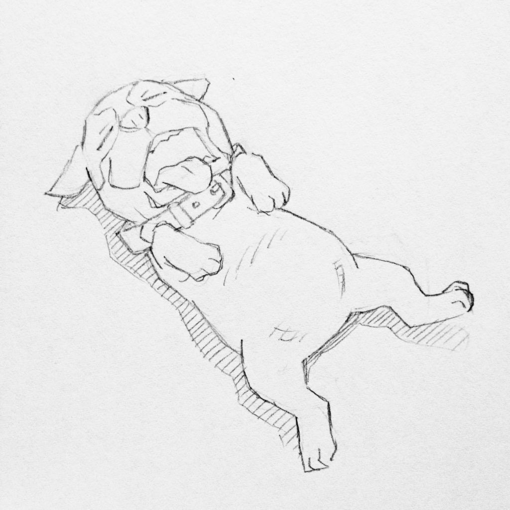 「無防備な寝姿のフレンチブルドッグ。 」|窪之内 Eisaku 英策のイラスト