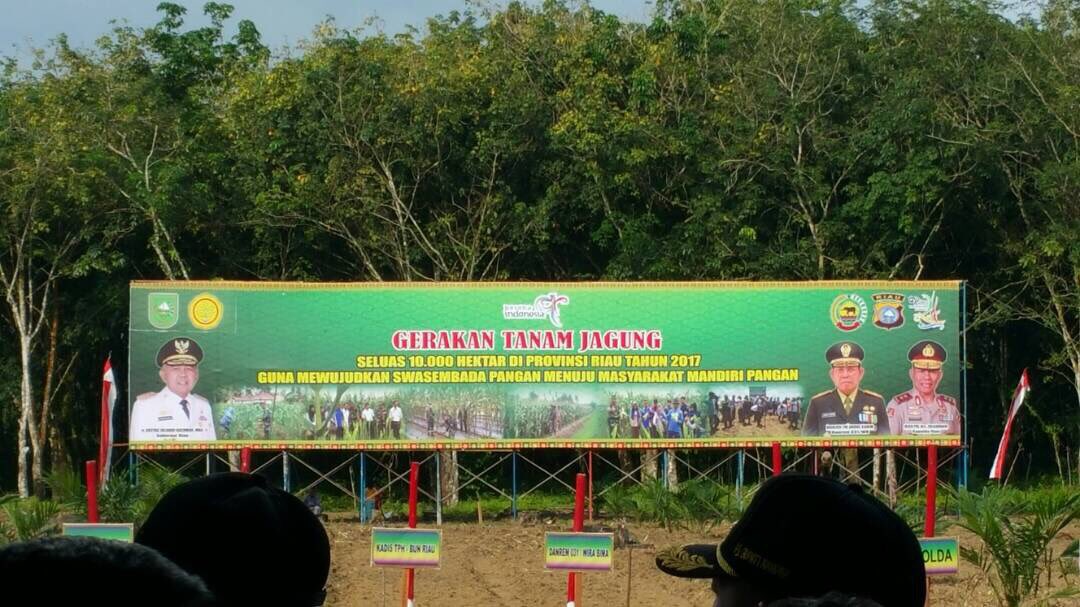 fkp2indonesia's tweet photo. Krja nyata @ditjenbun brsma TKPPLP melalui Gerakan Tnam Jagung di Lahan Perkebunan guna mwjudkan swasembada pangan, Kab.Kampar-Riau #fkp2i https://t.co/wr2KGMWOeP