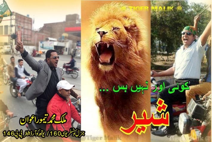 M_Taimoor_Malik's tweet image. جدروں وی لنگ جائیے ہون سلاماں متراں نوں.. 
شیراں دے پت شیر نہیں ڈردے ایرے غیرے توں.
#NawazTheHeartsRuler 
#GTRoadکپتان_کی_موت