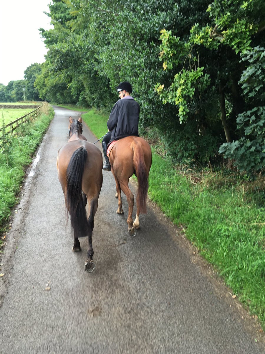 #exracehorses. #chilling