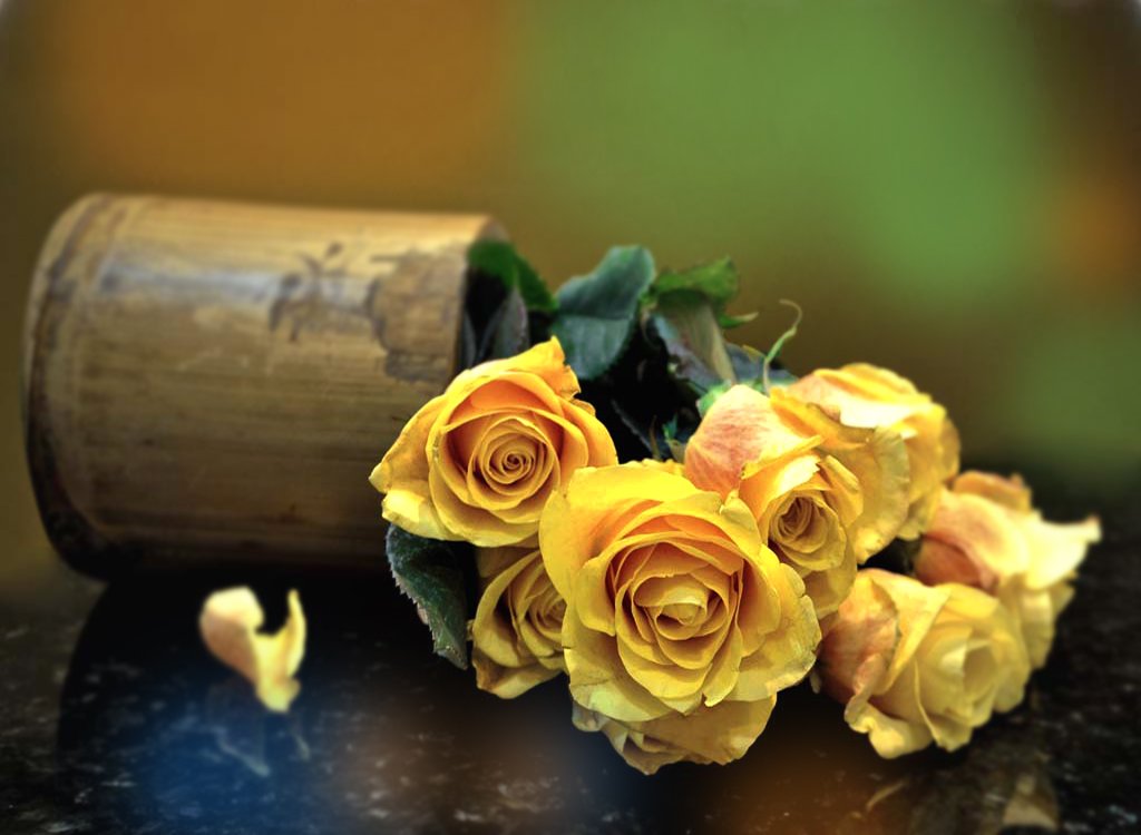 Лана Лисс (@lana_liss) on Twitter photo <a href="/fahd_elnesr/">Fahd Elnesr</a> @0226baba <a href="/vivinristituta/">vivin ristituta</a> @kazurin4428 @Chandra1Vinod <a href="/mujahidgrw/">mujahidgrw</a> <a href="/AmalaiaLapaglia/">a</a> @Xfiles_Man <a href="/roads2/">Susan Nelson</a> <a href="/most_17/">け</a> @pilot_svb @bcavalli3333 <a href="/daniel_2509/">🌹ЗС🌹</a> <a href="/kimukimukimu81/">みかみ🐩</a> <a href="/PtrSerg/">Sergey Petrovich</a> @CreativeTanja <a href="/shizu__/">shizu</a> <a href="/sushilpershad/">sushil ??</a> <a href="/schettanya/">Татьяна Щетинина</a> <a href="/SrgPtr/">Сергей Петрович</a> <a href="/lilo623/">Linda Marie Lovison</a> <a href="/sminaev2015/">Sergey Minaev</a> <a href="/Listev1/">Listev</a> <a href="/Salvado96043056/">Salvador Jorge</a> <a href="/semljnika/">Daria ❄</a> <a href="/sergey_silkin/">Sergey Silkin</a> <a href="/BluesignV/">Blue sign</a> @cko_mx <a href="/Quinnqueens/">Quinn 💛(G.Quinn Rogers)</a> <a href="/AndyWhite1234/">Andy White</a> <a href="/Silviadomi22G/">♕Lady in Red ❤</a> <a href="/paparosso60/">Alexandra</a> <a href="/FunnyPlanet88/">Funny Planet</a> <a href="/Sale_Fox/">Style Fox</a> @TN19905 <a href="/23b7d9146cf54b5/">শোকের মাস 15/8/1975</a> <a href="/IsabelPerez1232/">💦Isabel Perez 💦</a> <a href="/LevykinV/">Левыкин Вячеслав</a> @pataiildiko <a href="/marizulca/">Marisol ❤</a> <a href="/pantone213u/">Magenta</a> @malemalefica @antwanhoberg @OKowalcuk <a href="/FRISEEMYRIAM/">FRISEE MYRIAM</a> @Natali122550 <a href="/monicasloves/">Monica Cates</a> 💚🧡💛💚💖 <a href="/fahd_elnesr/">Fahd Elnesr</a> @0226baba <a href="/vivinristituta/">vivin ristituta</a> @kazurin4428 @Chandra1Vinod <a href="/mujahidgrw/">mujahidgrw</a> <a href="/AmalaiaLapaglia/">a</a> @Xfiles_Man <a href="/roads2/">Susan Nelson</a> <a href="/most_17/">け</a> @pilot_svb @bcavalli3333 <a href="/daniel_2509/">🌹ЗС🌹</a> <a href="/kimukimukimu81/">みかみ🐩</a> <a href="/PtrSerg/">Sergey Petrovich</a> @CreativeTanja <a href="/shizu__/">shizu</a> <a href="/sushilpershad/">sushil ??</a> <a href="/schettanya/">Татьяна Щетинина</a> <a href="/SrgPtr/">Сергей Петрович</a> <a href="/lilo623/">Linda Marie Lovison</a> <a href="/sminaev2015/">Sergey Minaev</a> <a href="/Listev1/">Listev</a> <a href="/Salvado96043056/">Salvador Jorge</a> <a href="/semljnika/">Daria ❄</a> <a href="/sergey_silkin/">Sergey Silkin</a> <a href="/BluesignV/">Blue sign</a> @cko_mx <a href="/Quinnqueens/">Quinn 💛(G.Quinn Rogers)</a> <a href="/AndyWhite1234/">Andy White</a> <a href="/Silviadomi22G/">♕Lady in Red ❤</a> <a href="/paparosso60/">Alexandra</a> <a href="/FunnyPlanet88/">Funny Planet</a> <a href="/Sale_Fox/">Style Fox</a> @TN19905 <a href="/23b7d9146cf54b5/">শোকের মাস 15/8/1975</a> <a href="/IsabelPerez1232/">💦Isabel Perez 💦</a> <a href="/LevykinV/">Левыкин Вячеслав</a> @pataiildiko <a href="/marizulca/">Marisol ❤</a> <a href="/pantone213u/">Magenta</a> @malemalefica @antwanhoberg @OKowalcuk <a href="/FRISEEMYRIAM/">FRISEE MYRIAM</a> @Natali122550 <a href="/monicasloves/">Monica Cates</a> 💚🧡💛💚💖