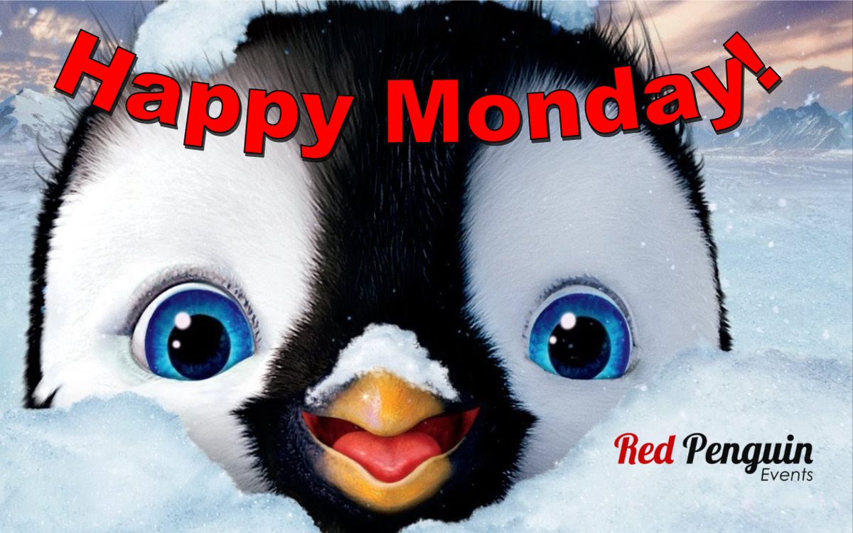 redpenguinevent's tweet photo. #MondayMotivation #Monday #penguin #cute #funny #MondayMorning #happy #summer #wedding #fun #MondayBlues #red #red #events #party https://t.co/yoo5YT4WuR