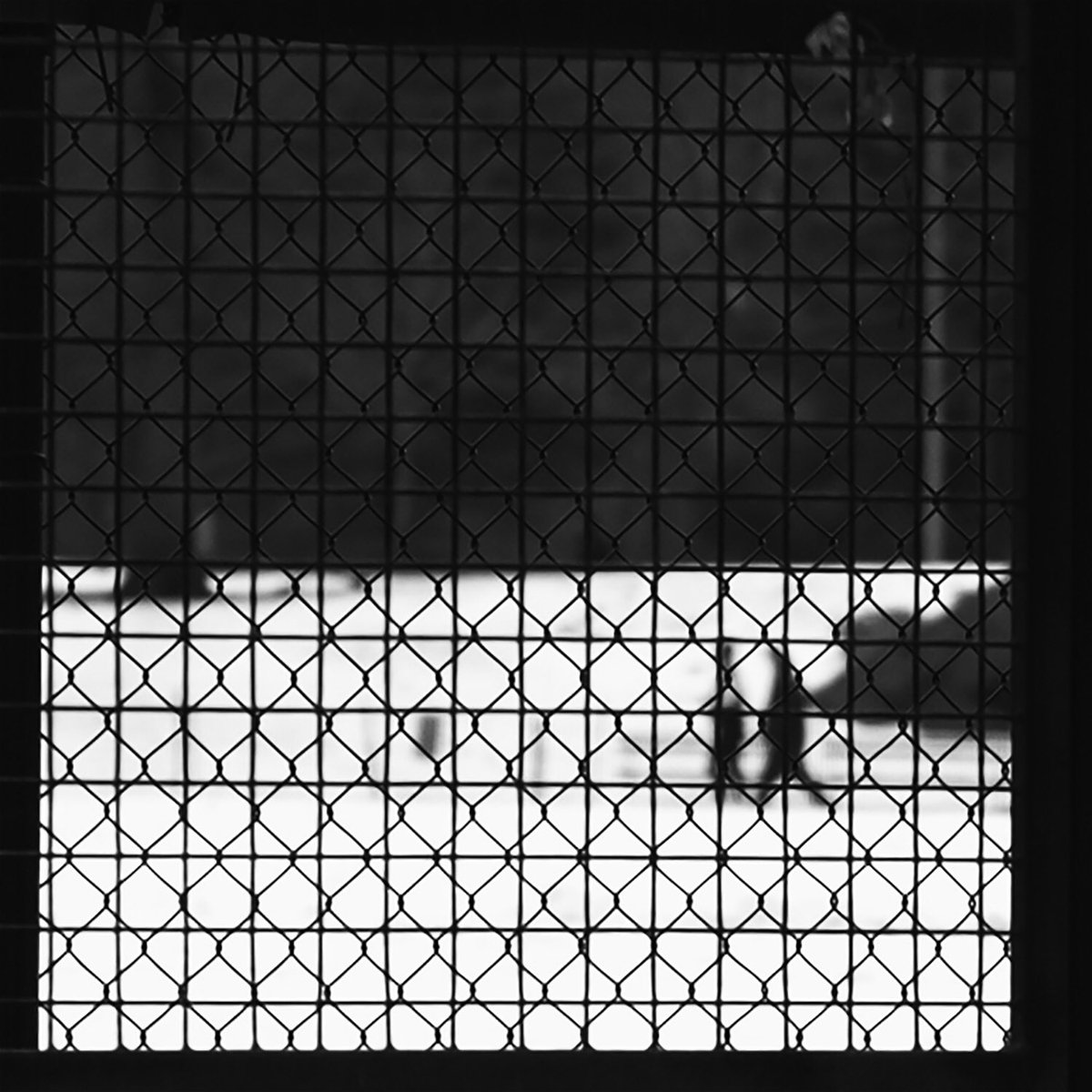 PITISPOTTERCLUB's tweet image. &quot;Unconventional New York&quot;, enjoy these minimal pictures. piti.forumfree.it/?t=74707608 #newyork