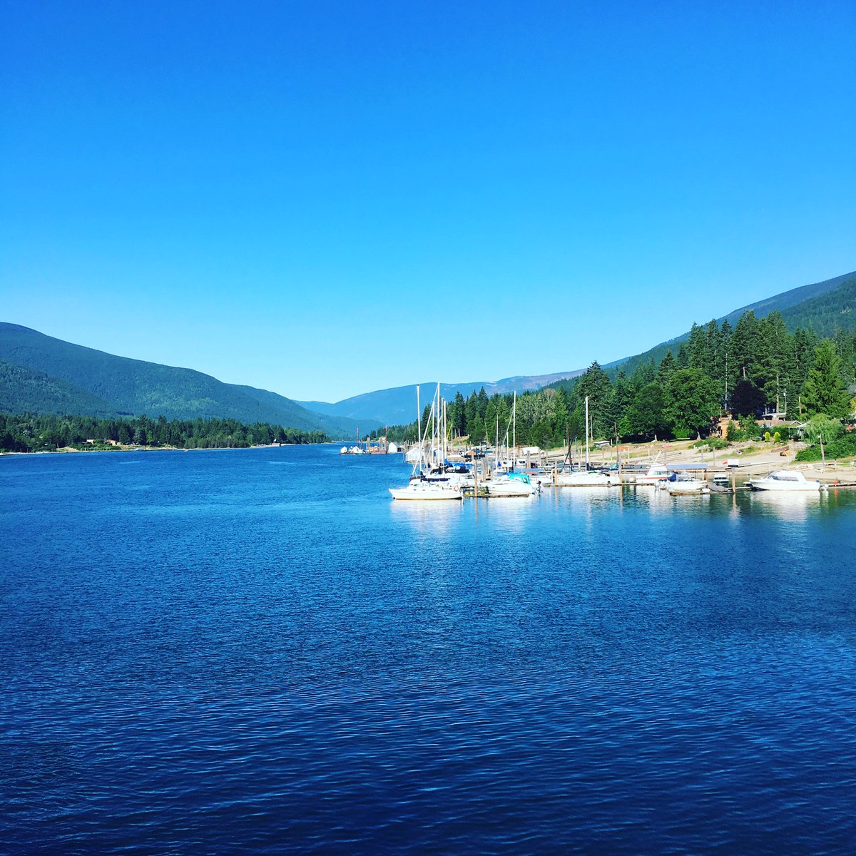 Cosmicfusion86's tweet image. 