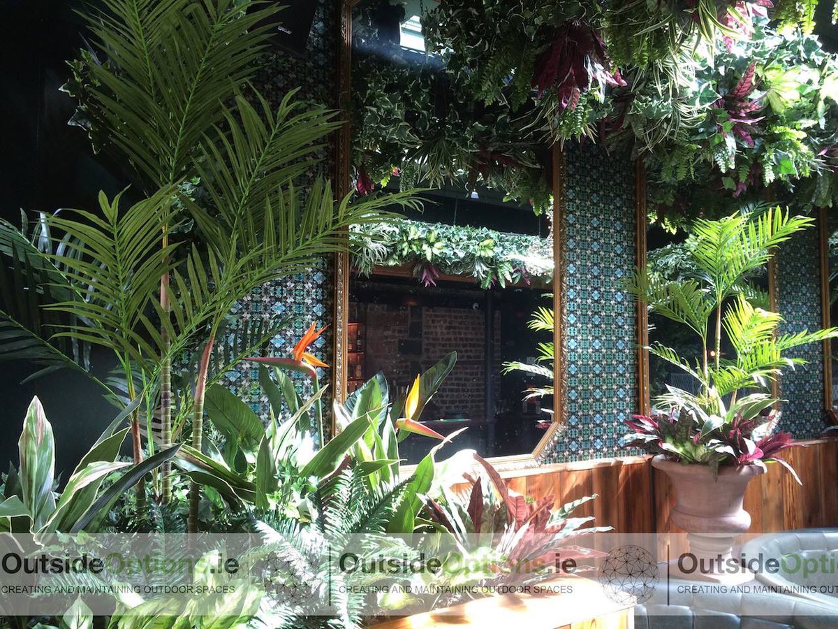 OutsideOptions's tweet image. Early morning plant fit-out to an interior bar area for one of our Dublin City Center clients.