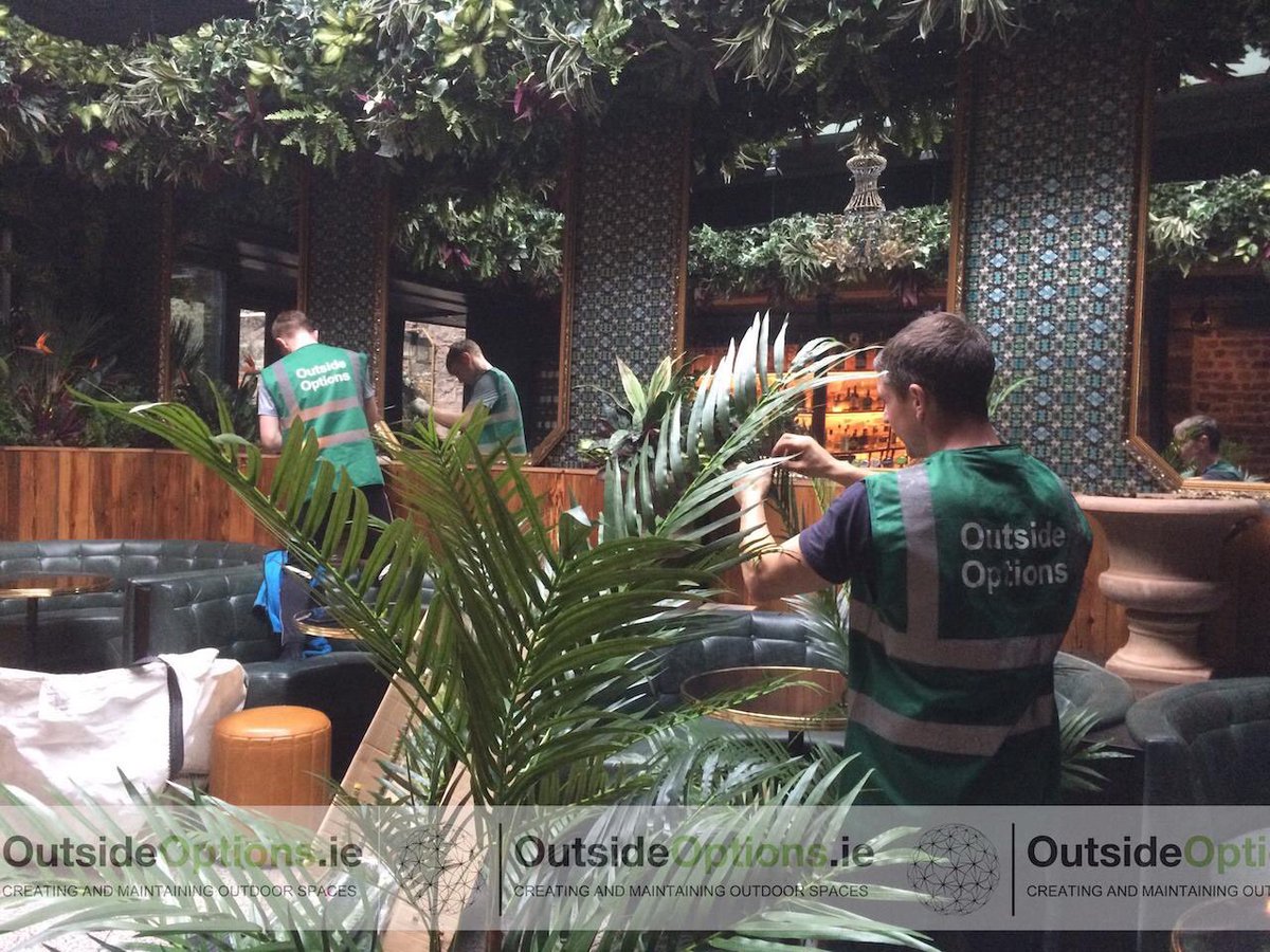 OutsideOptions's tweet image. Early morning plant fit-out to an interior bar area for one of our Dublin City Center clients.