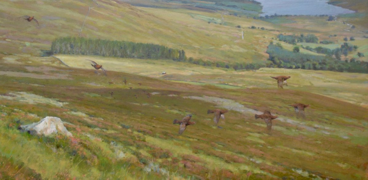 Detail of recent commission, Perthshire Grouse
#Sportingart #Grouse #Glorioustwelth #Painting #Grousemoor #oilpainting