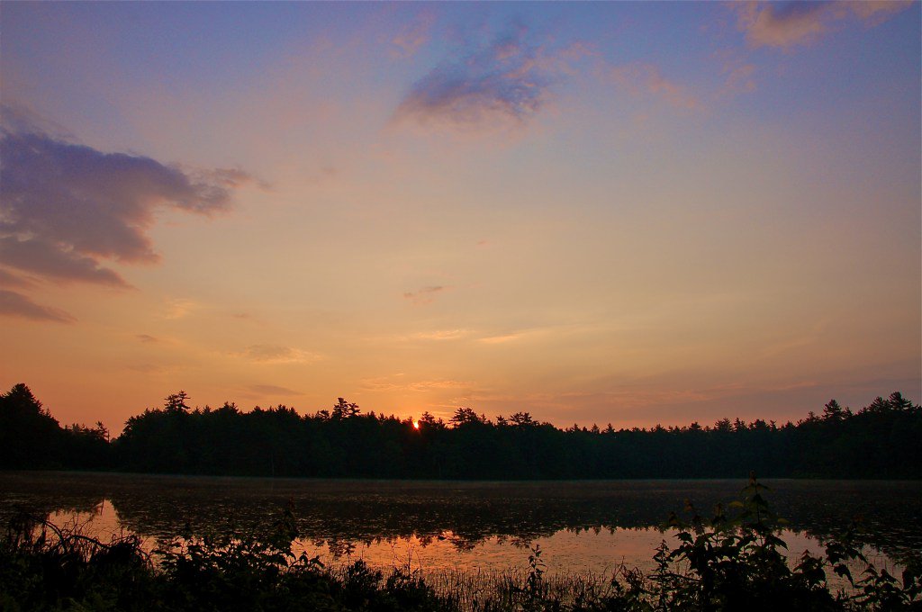 NorthQuabbinite's tweet photo. Bassettville Part I: Bassett Pond https://t.co/9fC5FoErwr https://t.co/2jwPK2lagh