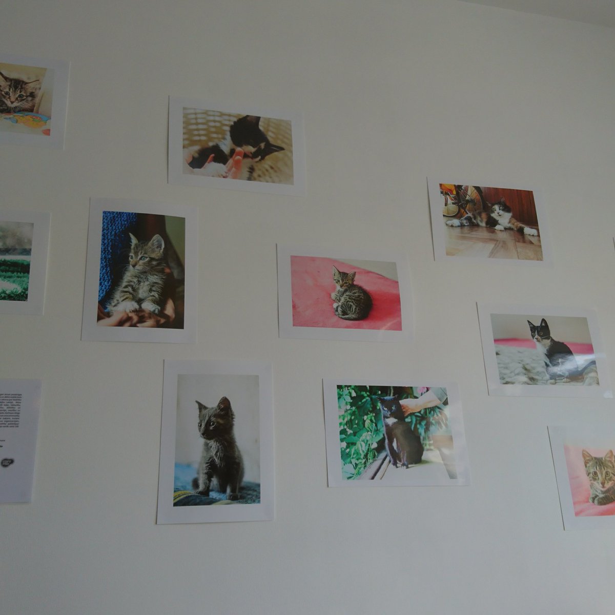 jhattara's tweet image. Cute little cafe with delicious #eclaire's in the heart of #RigaOldTown. #Riga #FatCat @FatCatEklernica