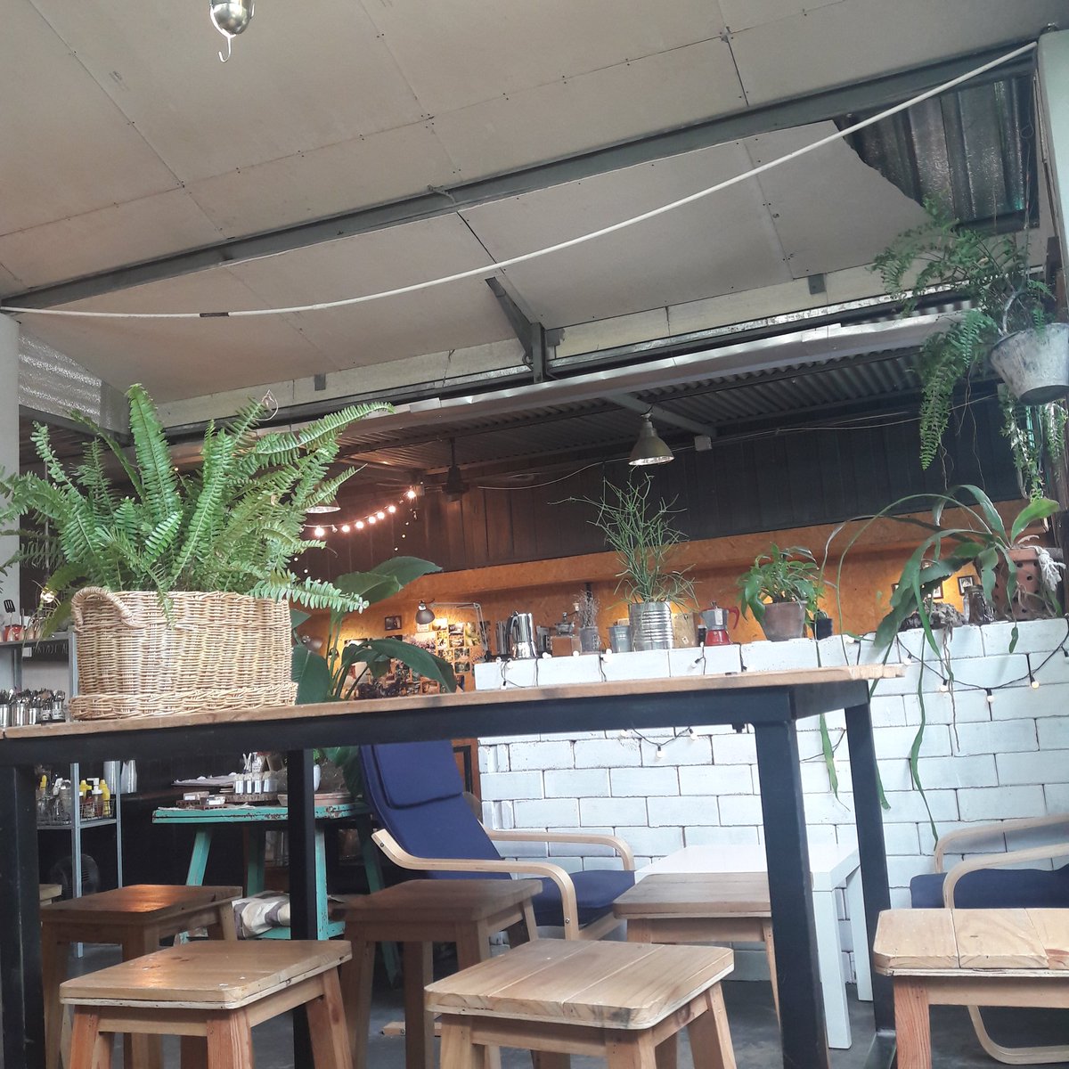 13xlimx's tweet photo. ชอบบรรยากาศในร้าน Rustic barista อยู่แถวๆ สนามหญ้าเทียม ksb สนามกีฬากลาง เช็ดอินลด 5฿ ทุกเมนู #รีวิวโคราช https://t.co/Enc9qaydGM